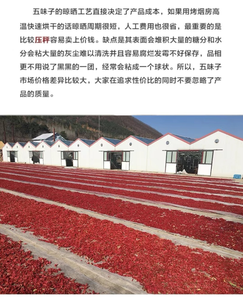 【北五味子】中药材五味子无硫辽五味子颗粒饱满油性足包邮