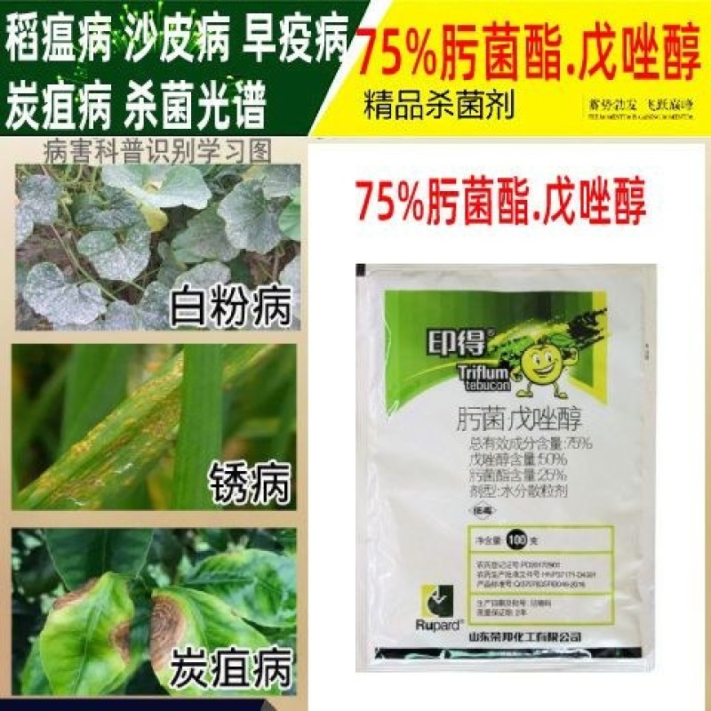 应收75%肟菌酯戊唑醇白粉病炭疽病叶斑黑斑病褐斑病纹枯病