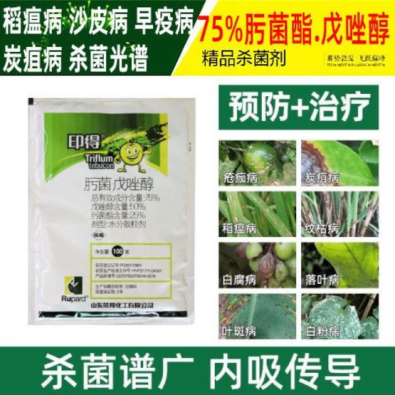 应收75%肟菌酯戊唑醇白粉病炭疽病叶斑黑斑病褐斑病纹枯病