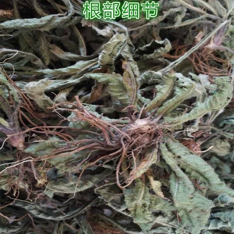 地胆头全草干货