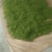 土家野生大山莓茶
