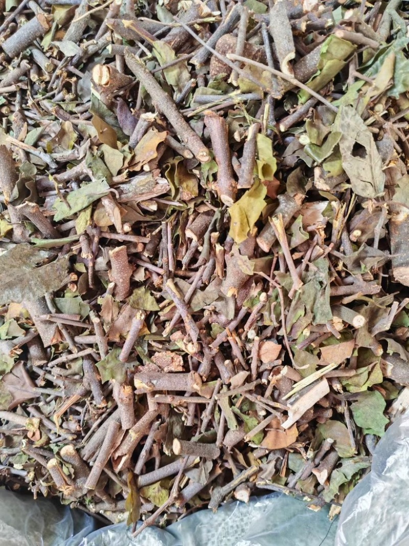 黄皮木寄生黄皮木寄生切段整捆两种规格