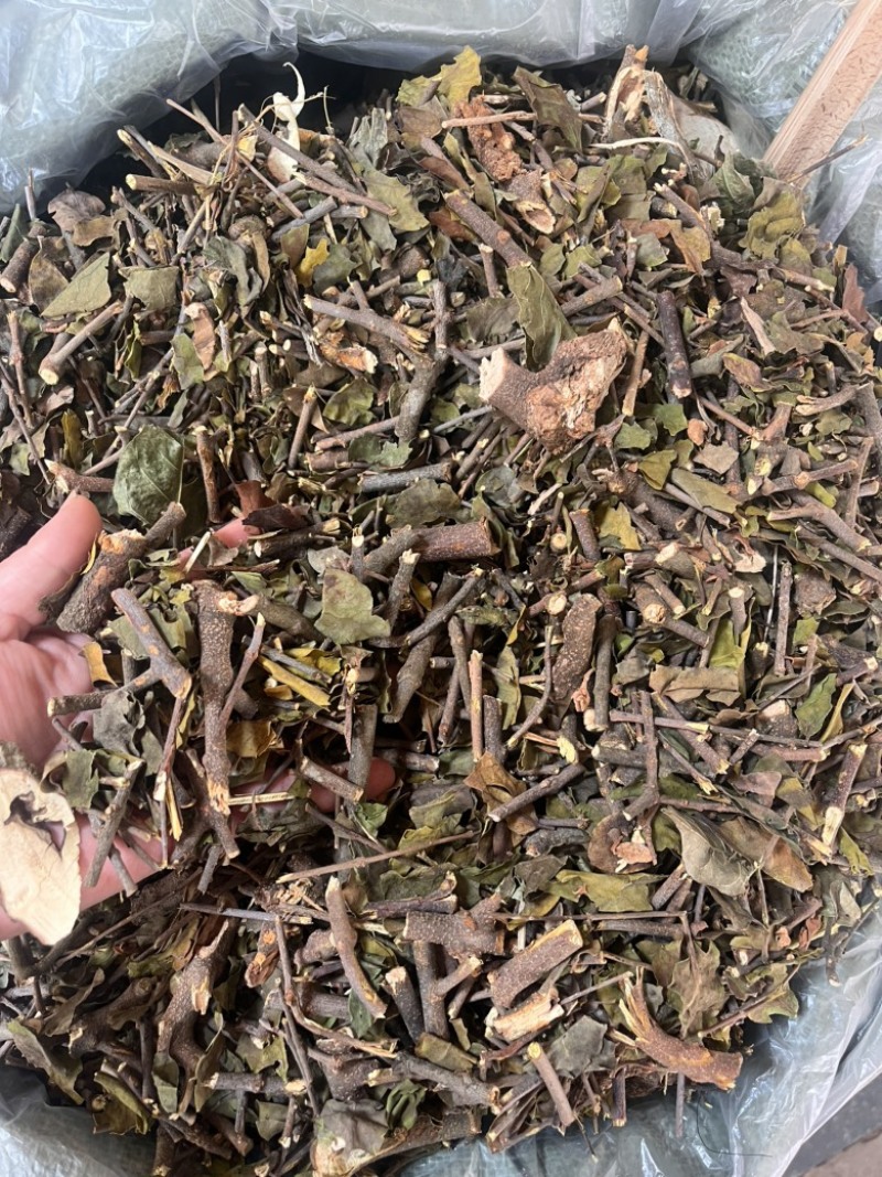 黄皮木寄生黄皮木寄生切段整捆两种规格