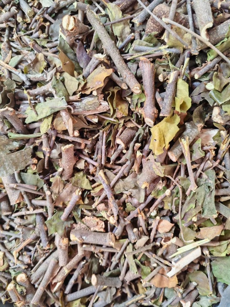 黄皮木寄生黄皮木寄生切段整捆两种规格