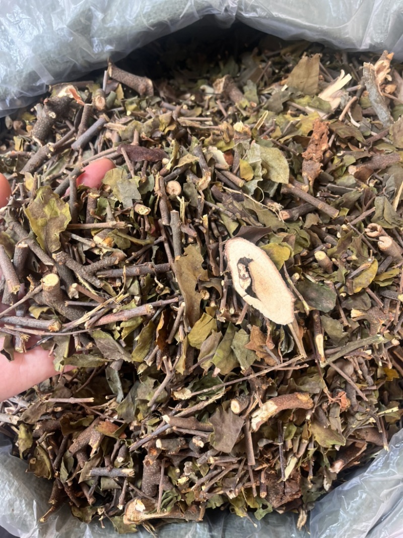 黄皮木寄生黄皮木寄生切段整捆两种规格
