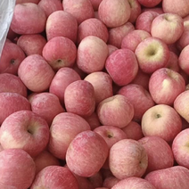 红富士苹果，苹果大量供应，产地直发，量大从优脆甜可口