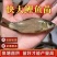 大小规格的鲤鱼，成活率高，抗病堵墙耐运输