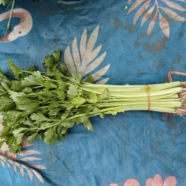 香芹