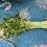 香芹