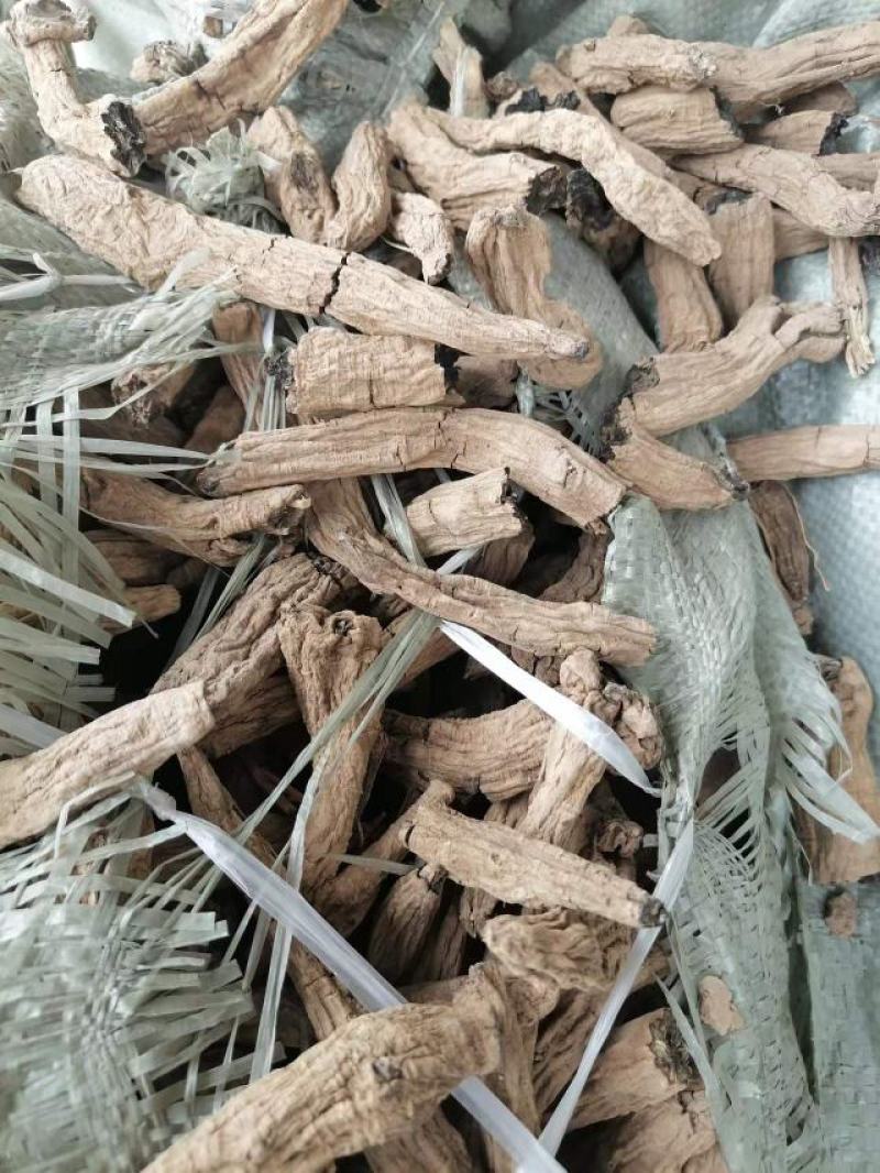 中药材玄参，炕货，晒货