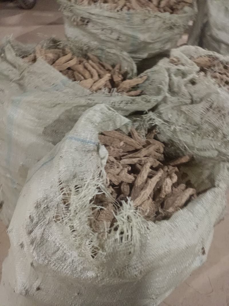 中药材玄参，炕货，晒货