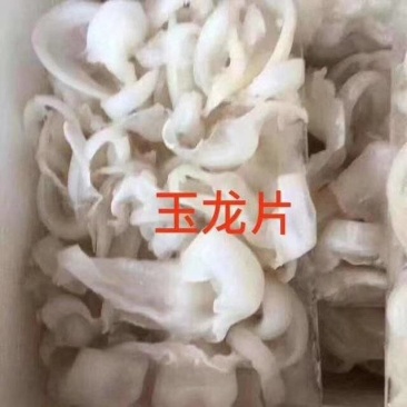 玉龙片