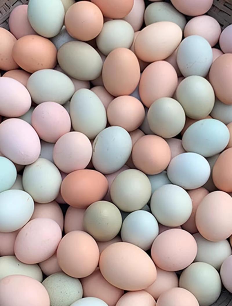 正宗土鸡蛋农家散养新鲜纯农村自养天然40枚草鸡蛋笨鸡蛋