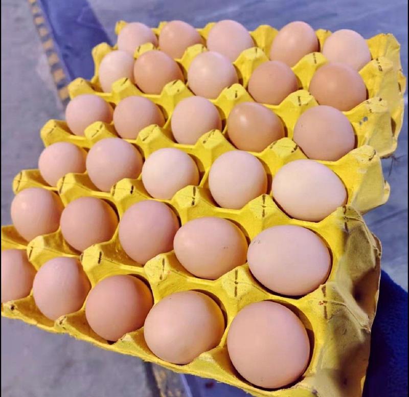 正宗土鸡蛋农家散养新鲜纯农村自养天然40枚草鸡蛋笨鸡蛋