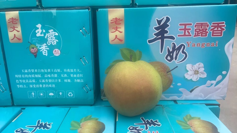 《社区团购专业供应链》山西玉露香
