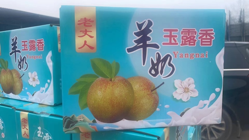《社区团购专业供应链》山西玉露香