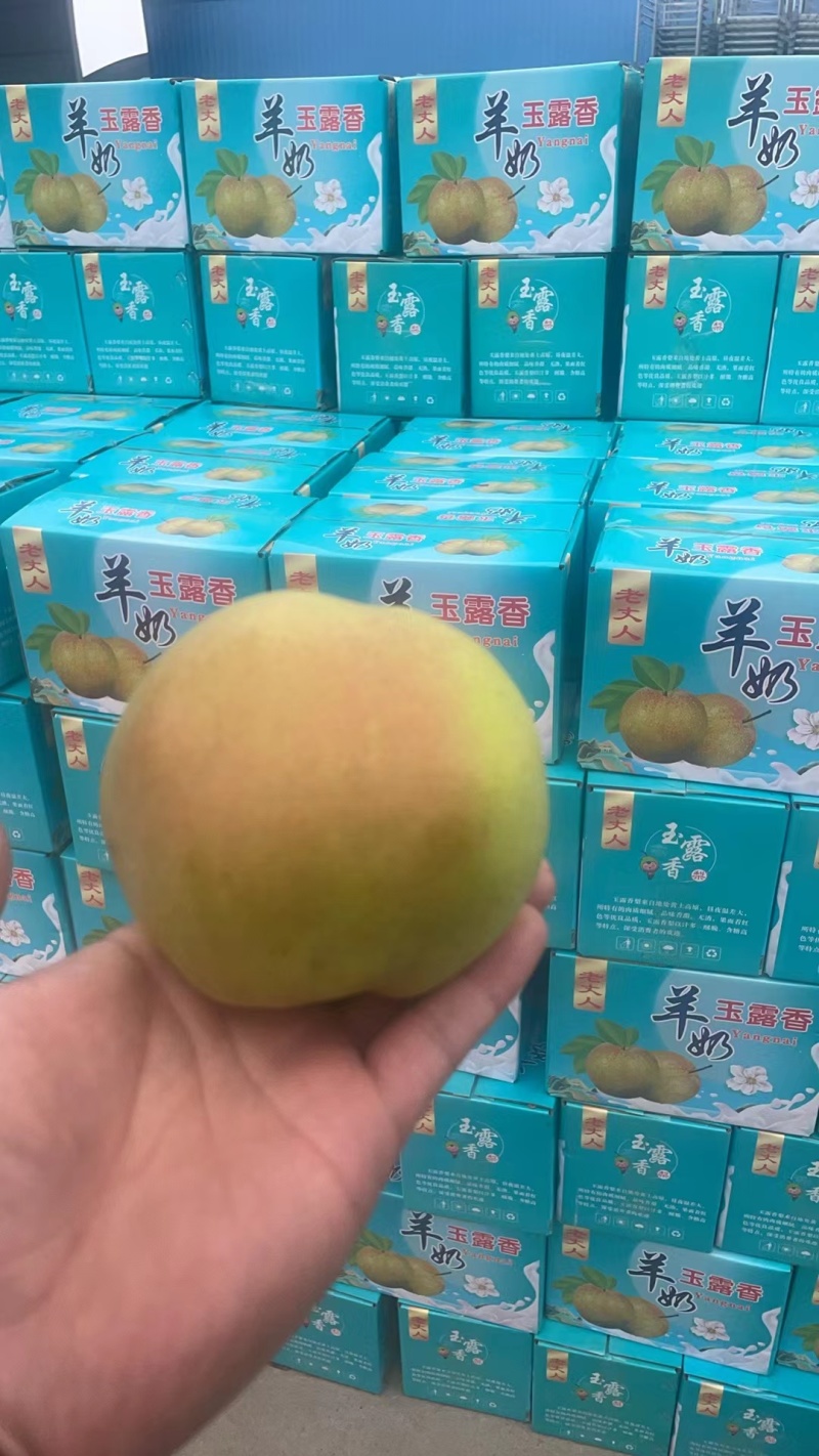 《社区团购专业供应链》山西玉露香