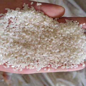 南方碎米（籼米碎）