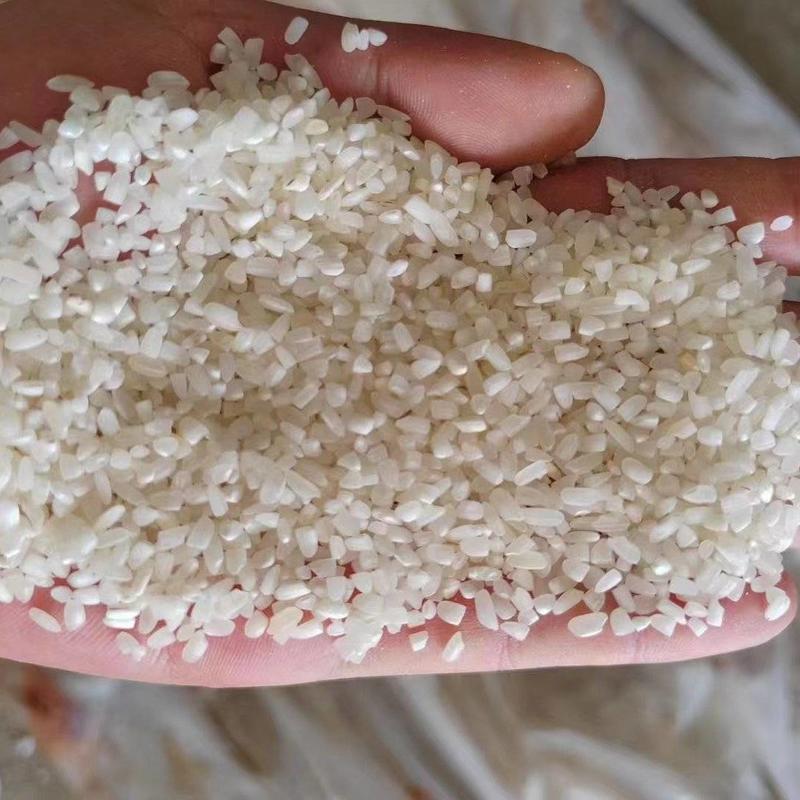 南方碎米（籼米碎）