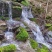 自产自销黄山土种毛峰