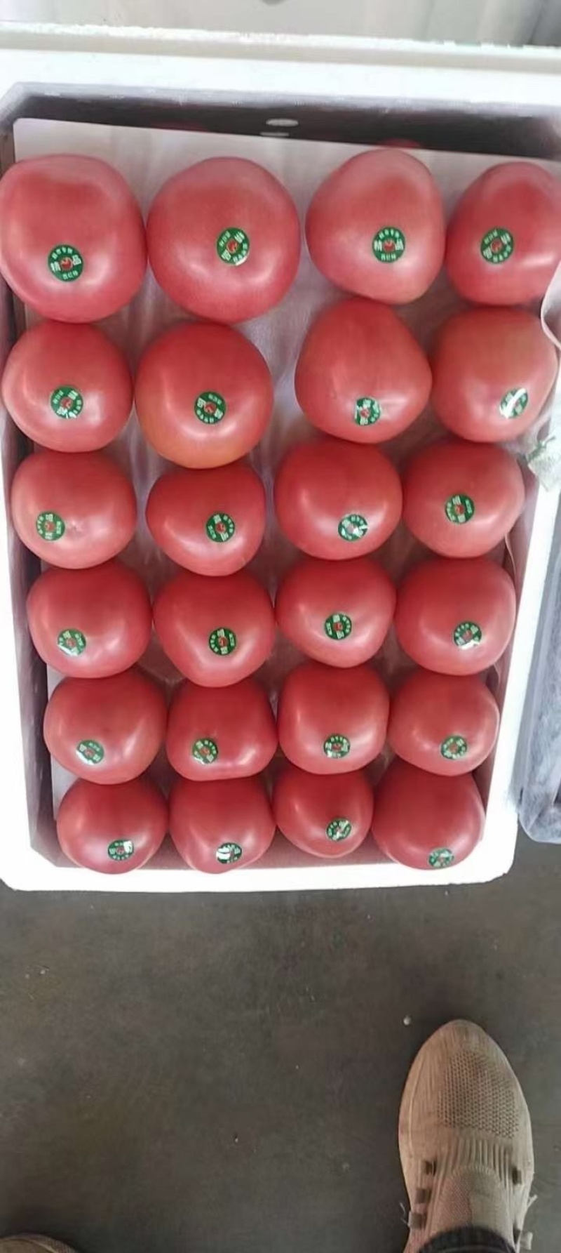 邯郸菠菜大量有货可供电商超市学校食堂监狱等发往全国各地