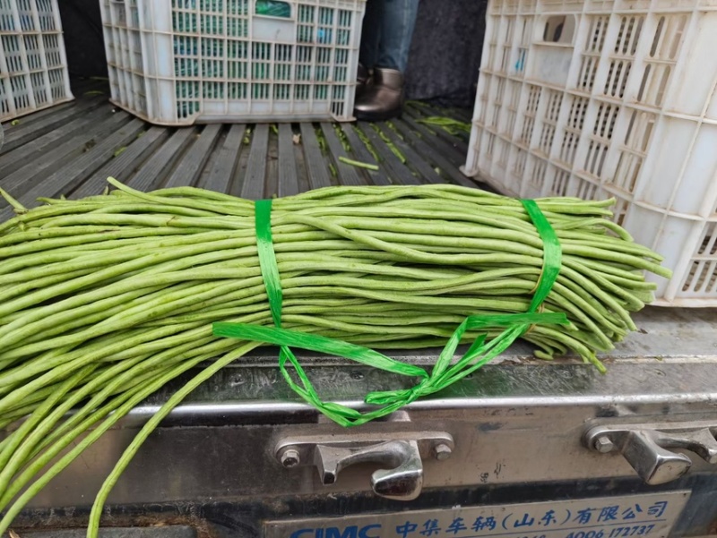 邯郸菠菜大量有货可供电商超市学校食堂监狱等发往全国各地