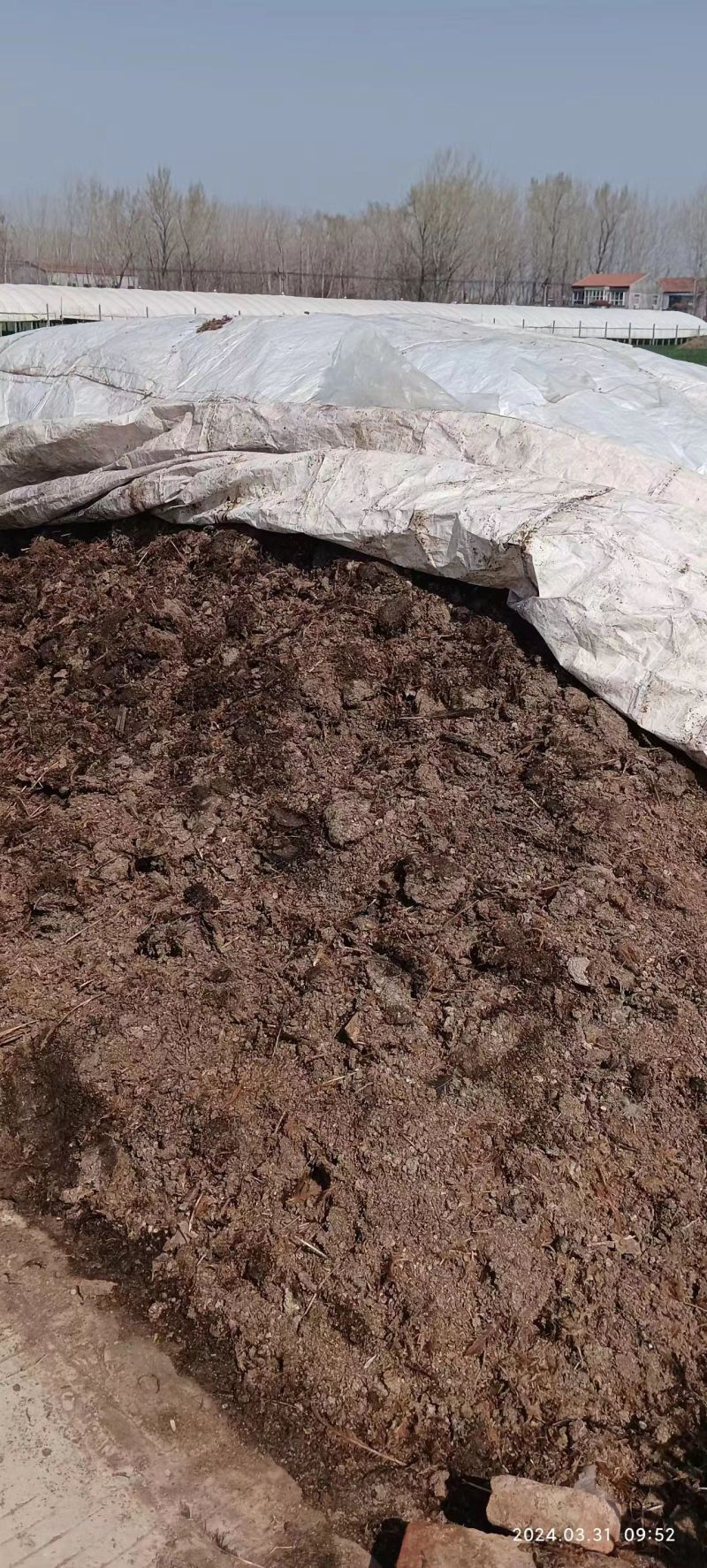 鸡粪