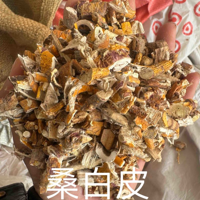 桑皮保庆药材批发桑皮实物拍摄桑白皮发货如图