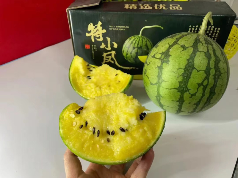 精品特小凤西瓜大量上市，产地一手货源直发，品质保证！