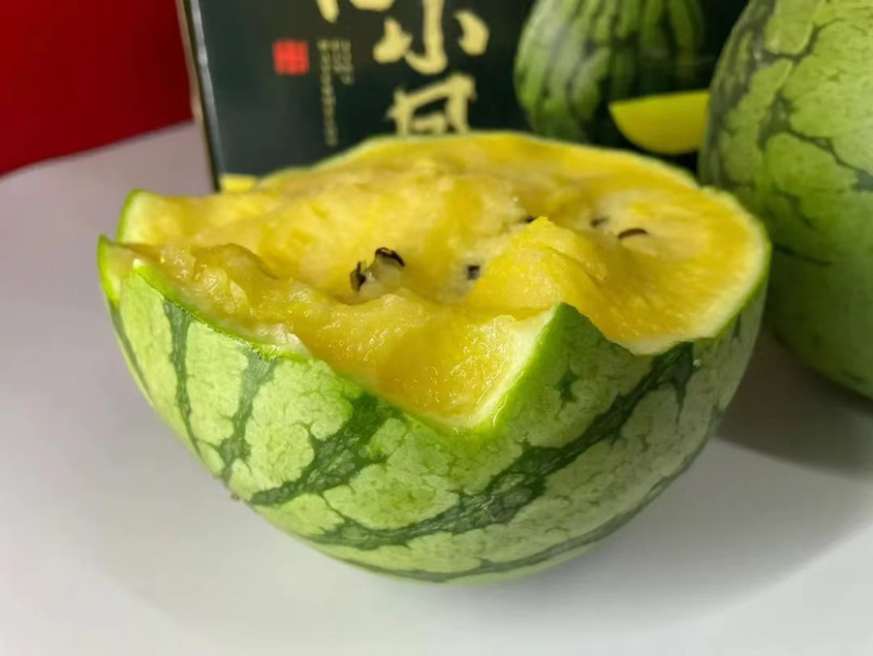 精品特小凤西瓜大量上市，产地一手货源直发，品质保证！