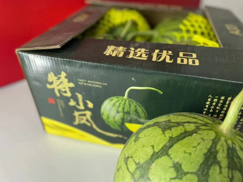 精品特小凤西瓜大量上市，产地一手货源直发，品质保证！