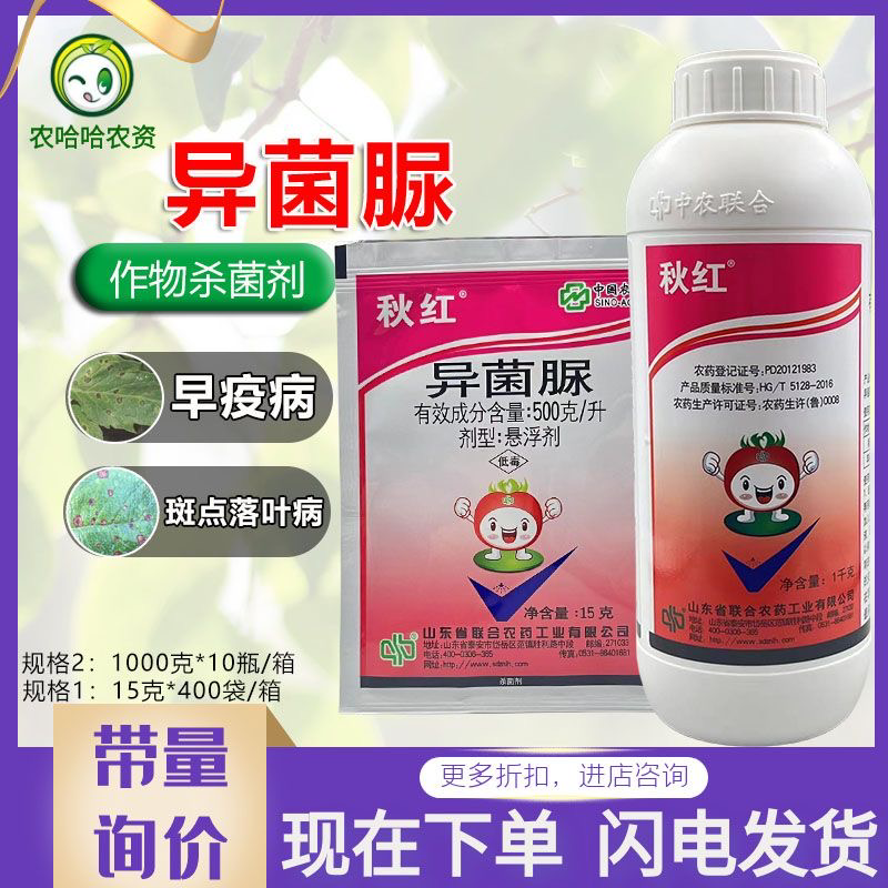 中农联合秋红异菌脲异菌尿杀菌剂番茄早疫病