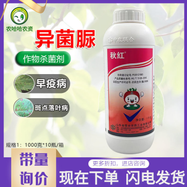 中农联合秋红大瓶异菌脲异菌尿番茄早疫病苹果斑点落叶病