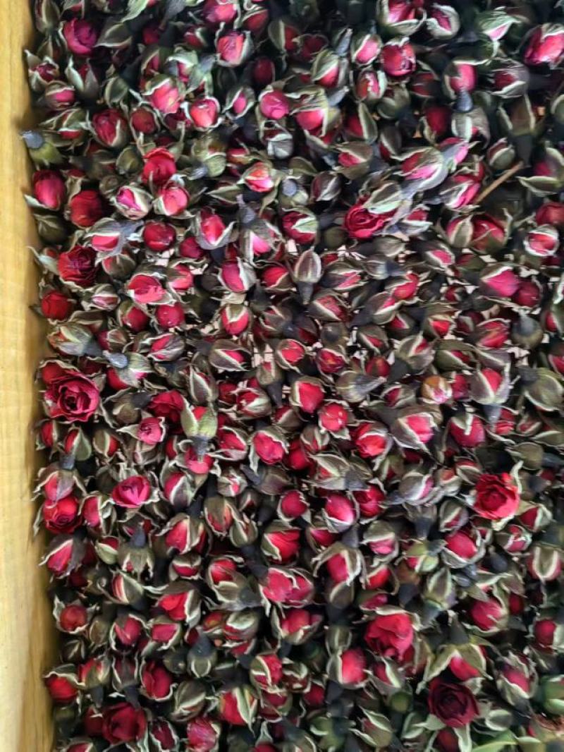 金边玫瑰，花冠、墨红玫瑰品质保证价格美丽供应全国各类市场