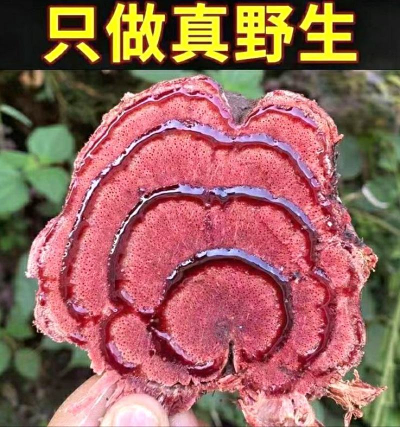 鸡血藤中药材深山老鸡血藤晾晒干货泡水泡茶泡酒煲汤