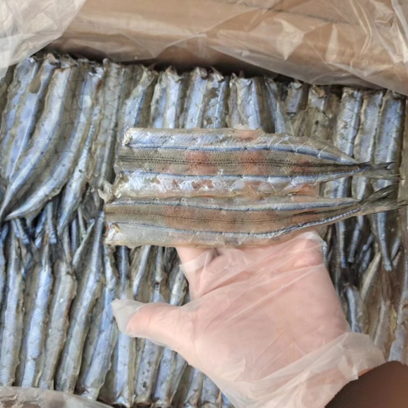 马步鱼滨州马步鱼烧烤专用一件也是批发价全国发货