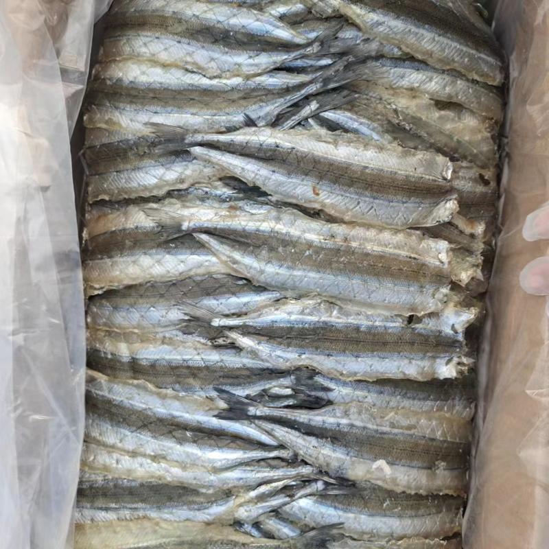 滨州水产马步鱼烧烤专用一件也是批发价