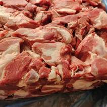 羔羊肉块，穿串，炖羊肉，切片羊汤，干煸孜然都可以。