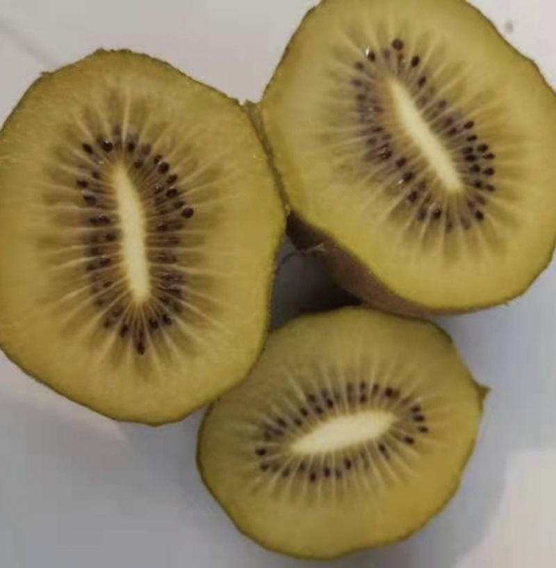徐香猕猴桃80-150翠香海沃德亚特大量一手现货