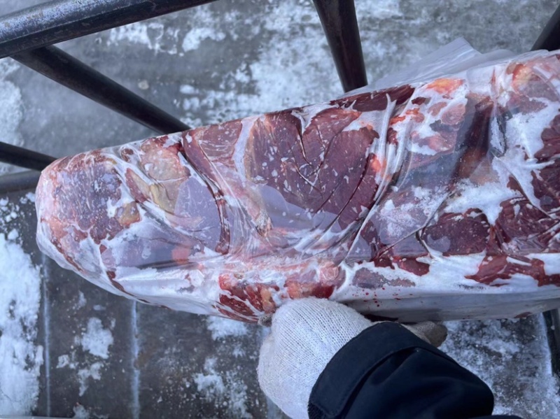 精品河北沧州，马肉马腿肉，冷链发货，质量保证欢迎电联选购