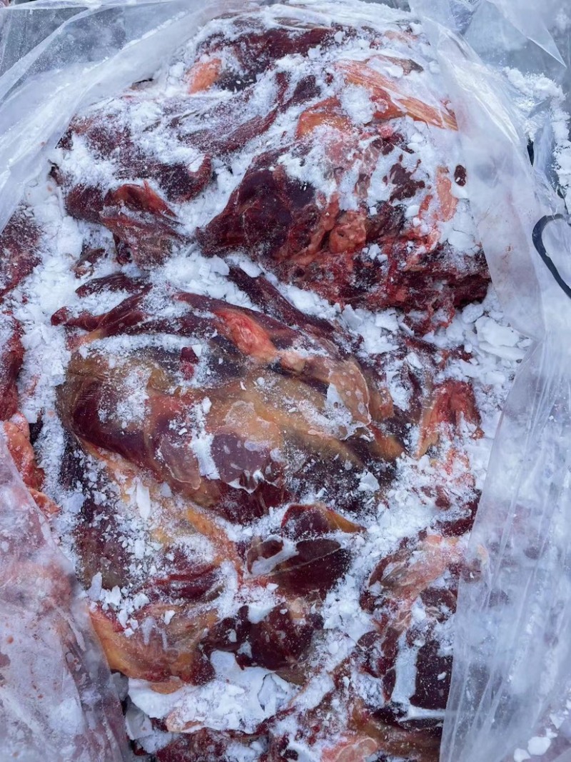 精品河北沧州，马肉马腿肉，冷链发货，质量保证欢迎电联选购