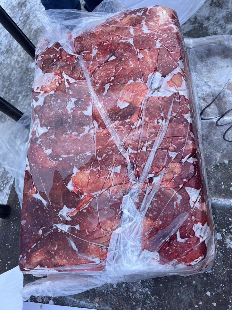 精品河北沧州，马肉马腿肉，冷链发货，质量保证欢迎电联选购