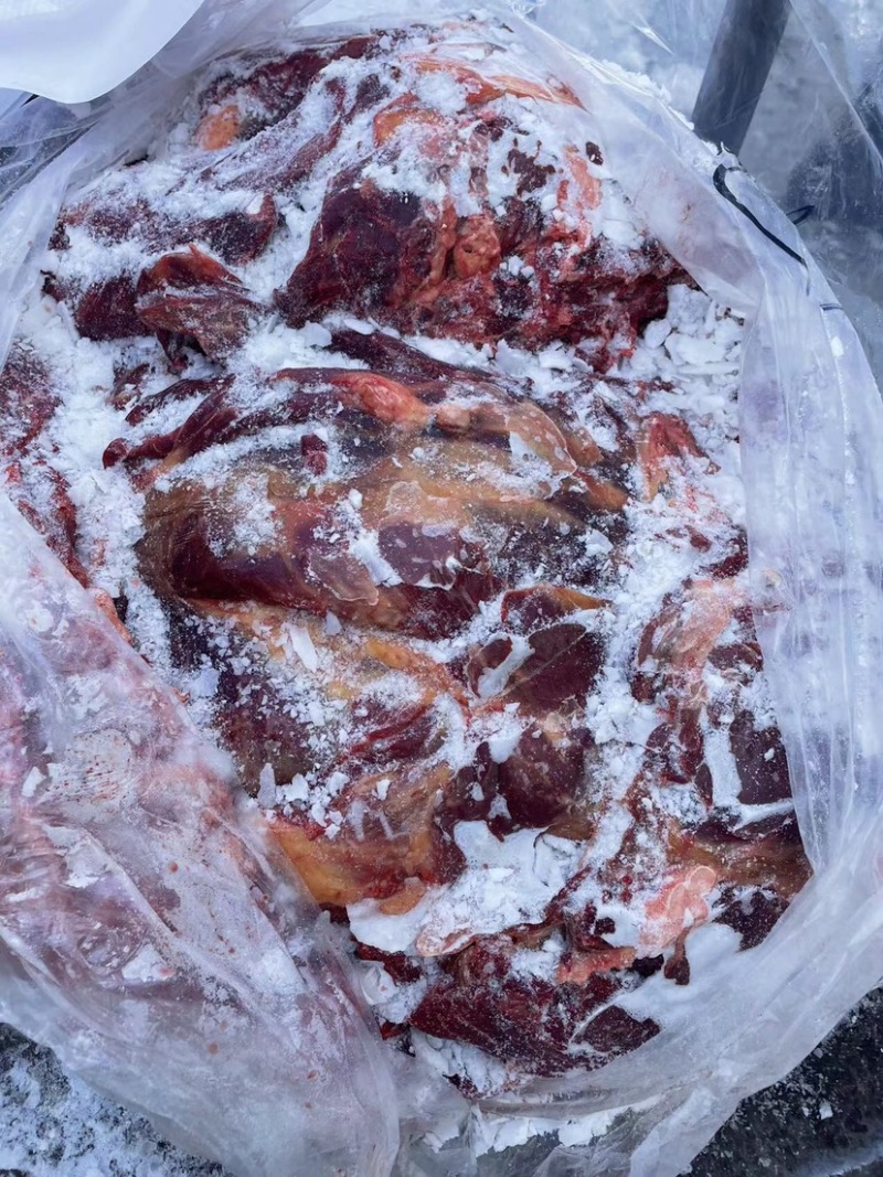 精品河北沧州，马肉马腿肉，冷链发货，质量保证欢迎电联选购