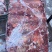 精品河北沧州，马肉马腿肉，冷链发货，质量保证欢迎电联选购