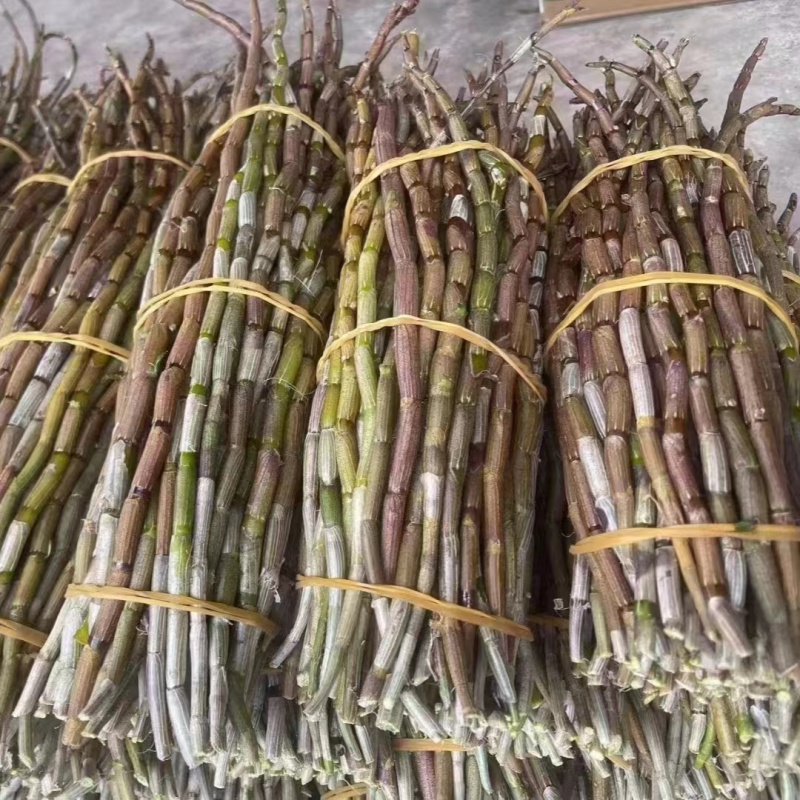 铁皮石斛基地直发！主营各地土特产一手货源质量保证大量供应
