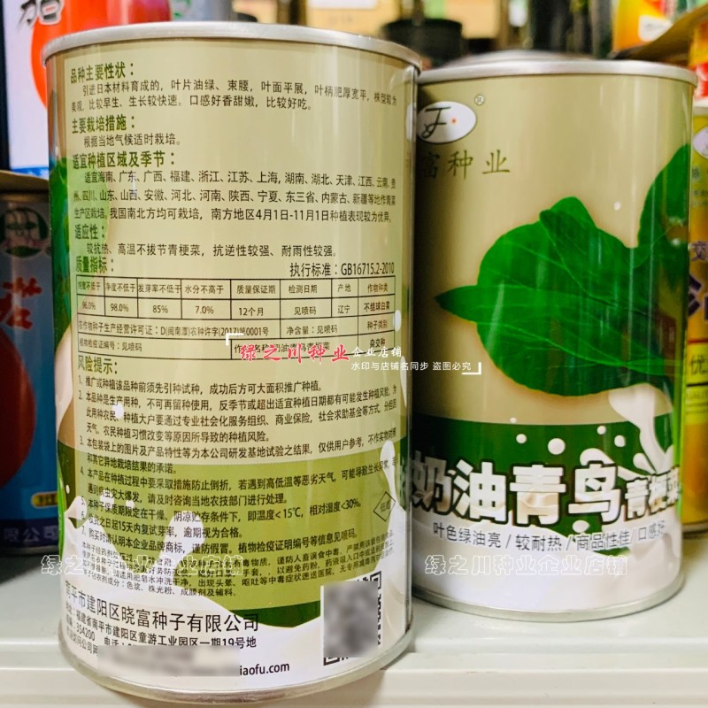 奶油青鸟青梗菜种子超耐热叶色绿油亮青菜种子甜嫩抗热