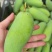 象牙大象牙