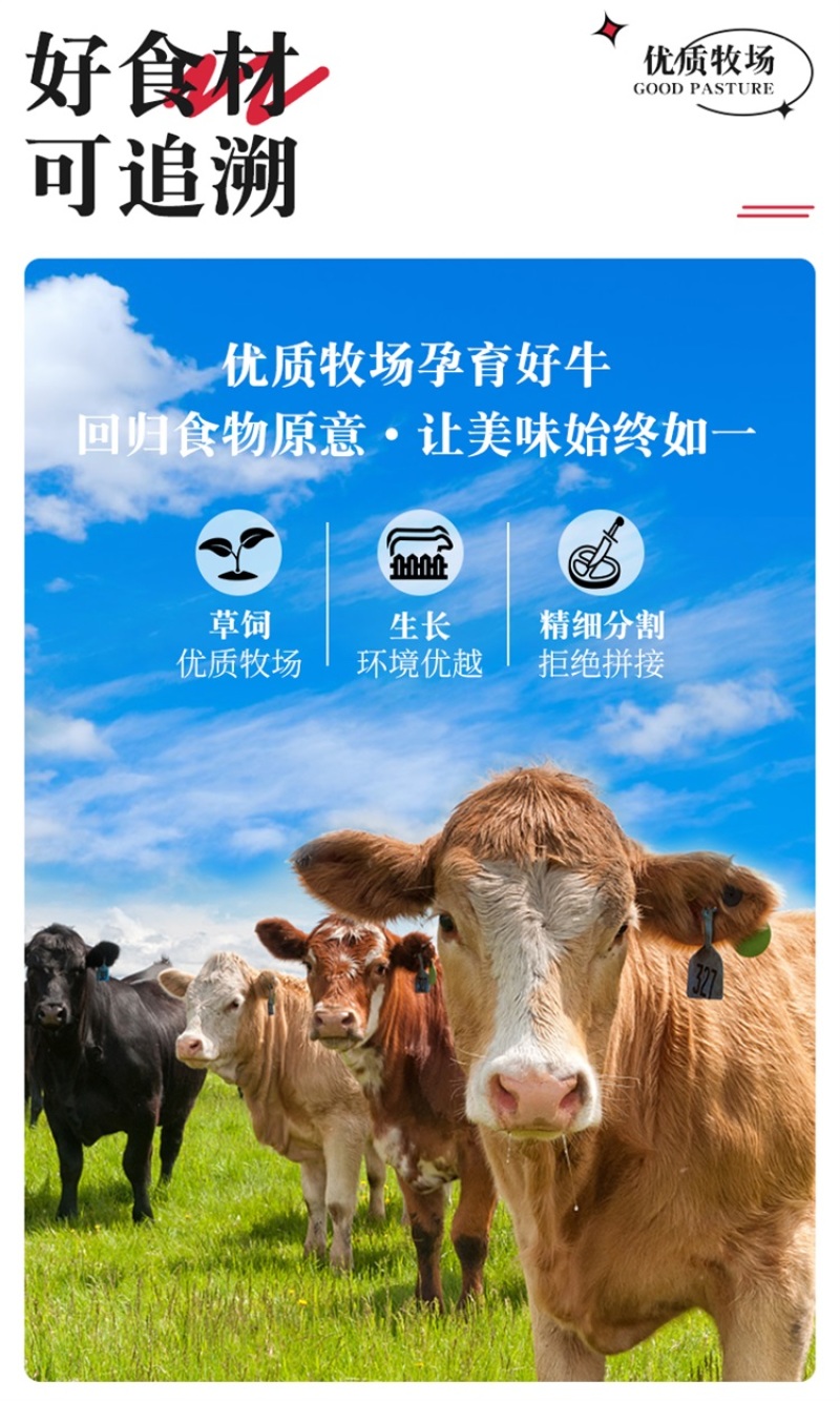 牛肉全牛套餐10斤/件牛建子牛排骨牛腩牛蝎子牛腿肉