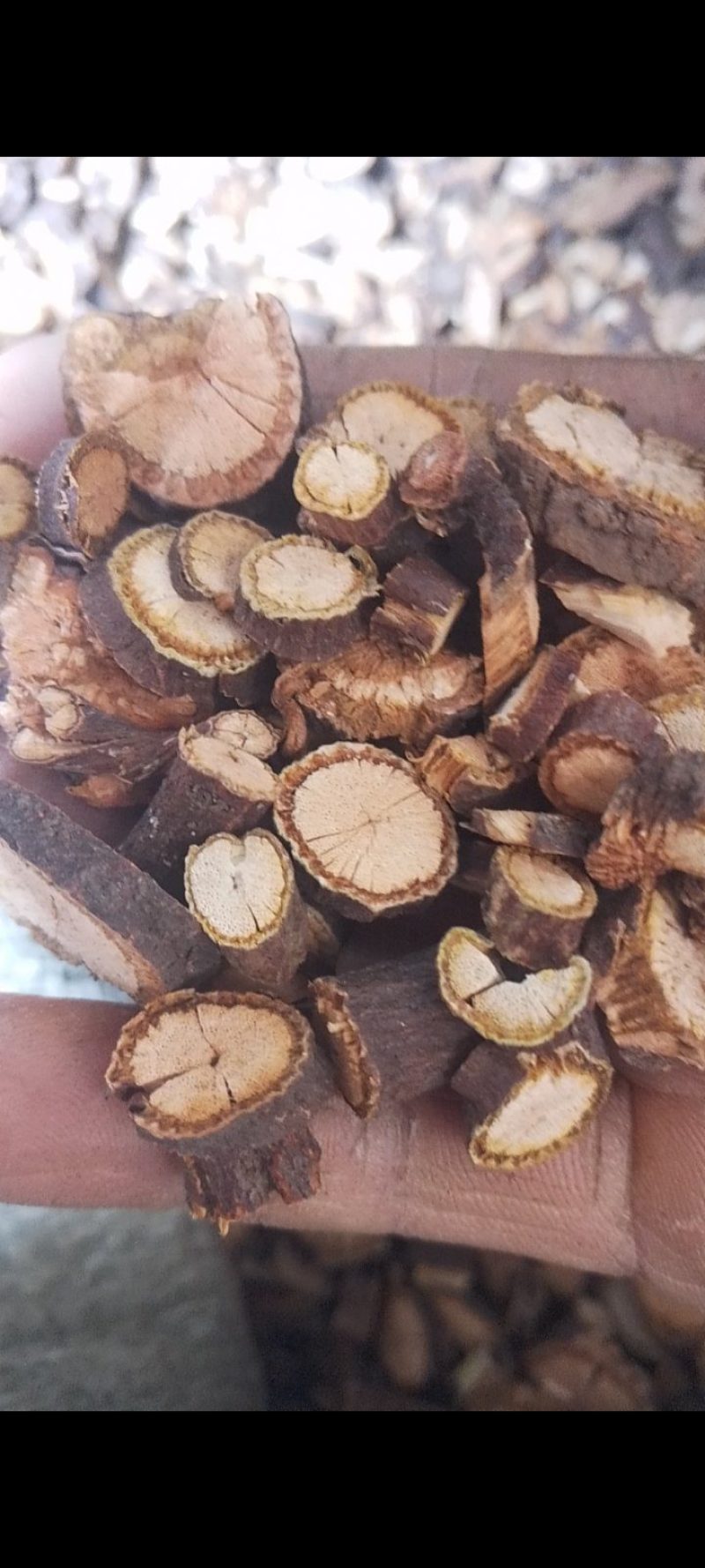 何首乌藤，夜交藤，各种藤木类中草药，冷背中草药