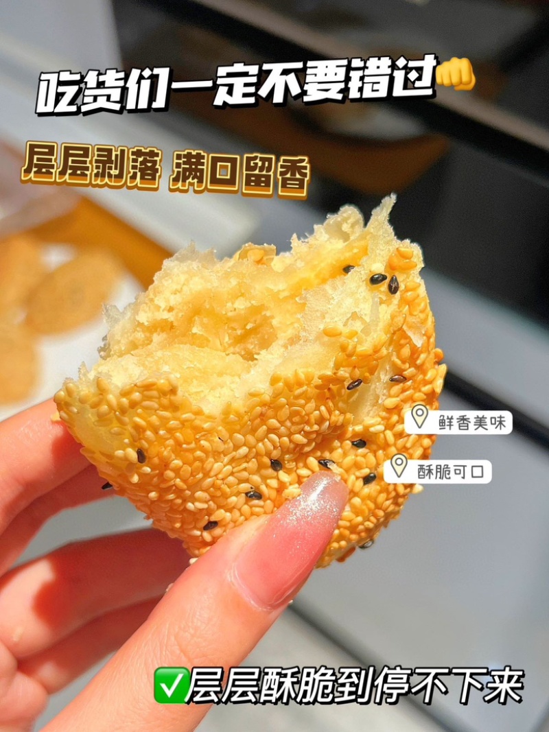 【麻糕】居记手工麻糕椒盐甜咸口味齐全冻胚冷冻180天